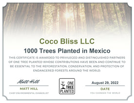 Coco Bliss – Coco Bliss - Spread The Luv